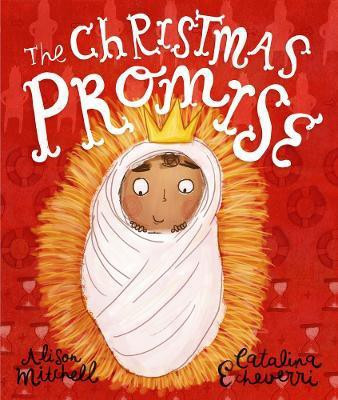 The Christmas Promise Storybook(English, Hardcover, Mitchell Alison)