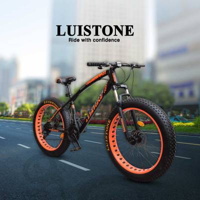 T LUISTONE Fat Tyre Cycle for Men with Dual Disc Brake Front