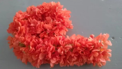 MAA Crossandra, Firecracker Seed(125 per packet)