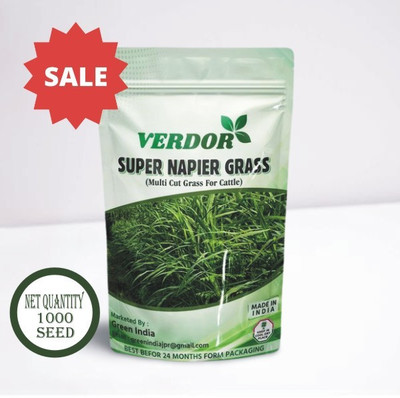 Ravel SUPER NAPIER GRASS HIGH YIELD Seed(1000 per packet)