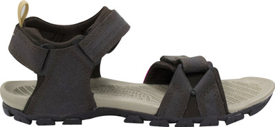 Sparx SS 481 Men Sports Sandals(Brown , 6)