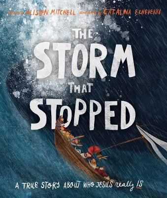 The Storm That Stopped Storybook(English, Hardcover, Mitchell Alison)