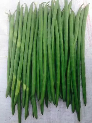 Aro Drumstick, Moringa Seed(38 per packet)