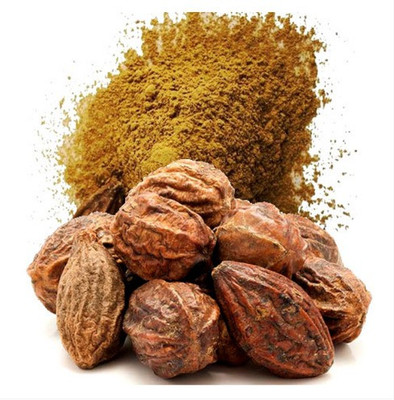 Ravel Harad/Haritiki/Terminaia Chebula/Chebulic Myrobalan Ayurveda Tree Seeds _250 Seed(250 per packet)