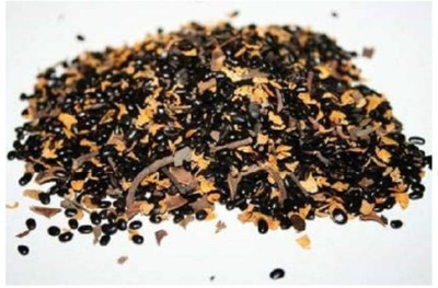 syed garden Australian Teak Seeds / (Acacia mangium Tree Seed) 1 Seed(10 per packet)