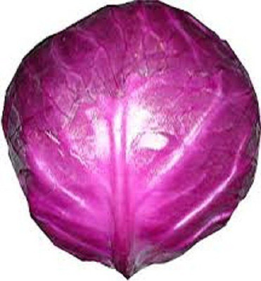 ginnienterpris Cabbage Seed(170 per packet)