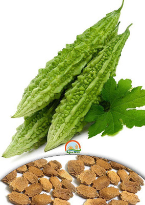ginnienterpris Bitter Gourd Seed(170 per packet)