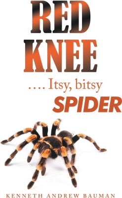 Red Knee .... Itsy, Bitsy Spider(English, Hardcover, Bauman Kenneth Andrew)