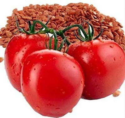 MAA Tomato, Tamatar Seed(290 per packet)