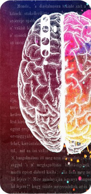 wrap craft OPPO Reno 2z Mobile Skin(Multicolor)