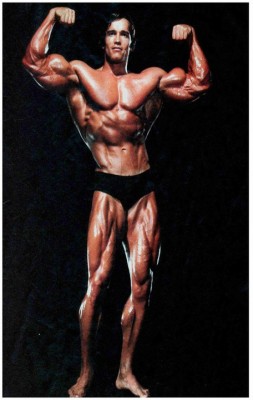 Arnold SchwarzeneggerFlex Poster For Room Mo-268 Photographic Paper(24 inch X 18 inch, Rolled)