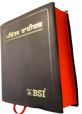 The Holy Punjabi Bible | New Edition Punjabi Bible | Punjabi Bible | Pavitra Punjab Bible | Punjabi Bible Old & New Testament | Full Punjabi Bible |(Hardcover, Punjabi, THE BIBLE SOCIETY OF INDIA)