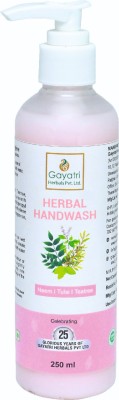 GAYATRI HERBALS PVT. LTD. Herbal Handwash, Neem| Teatree| Tulsi (250 ML) Hand Wash Bottle(250 ml)