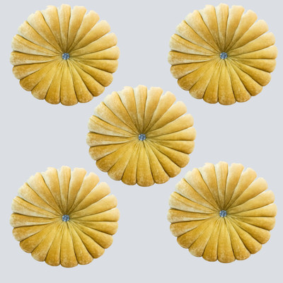 lala hathrasi Microfibre Solid Cushion Pack of 5(Yellow)