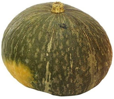 ErTh Pumpkin Kabocha Conventional Seed(150 per packet)