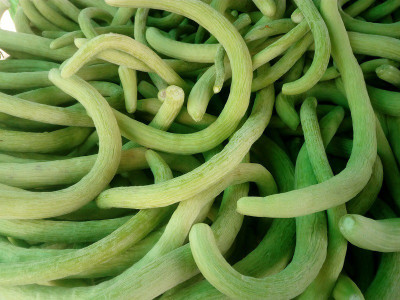 WILLVINE XL-118 Hybrid Cucumber Kakri Seeds Long Melon-400 Seed(400 per packet)