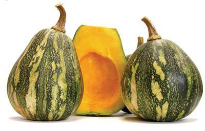 Farmonix Pumpkin-high quality Kaddu Vegetables Seed(100 per packet)