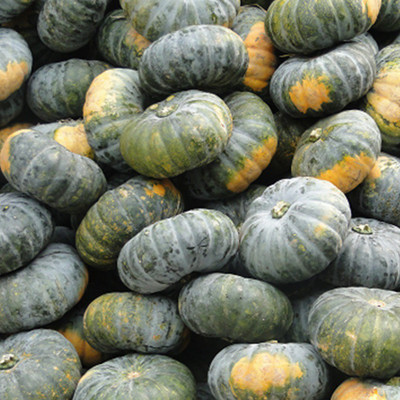 Farmonix Big Size PUMPKIN Seed(150 per packet)