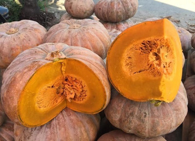 ErTh pumpkin vegetable Seed(2000 per packet)