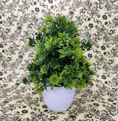 ds Artificial Green Flower Pot for Home Decoration (Pack of 1) Green Anthurium Artificial Flower  with Pot(8 inch, Pack of 1, Flower Bunch)