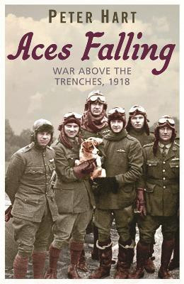 Aces Falling(English, Paperback, Hart Peter)