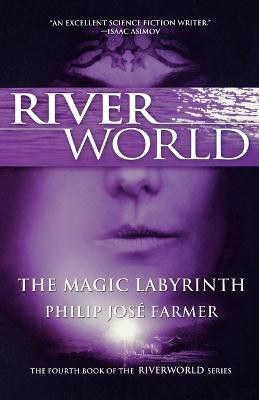 The Magic Labyrinth(English, Paperback, Farmer Philip Jose)