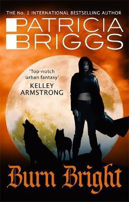 Burn Bright(English, Paperback, Briggs Patricia)