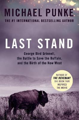 Last Stand(English, Paperback, Punke Michael)