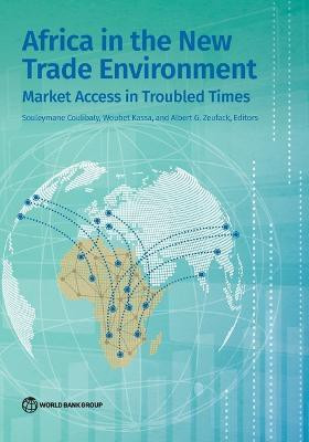 Africa in the New Trade Environment(English, Paperback, unknown)