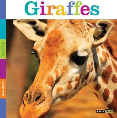 Seedlings: Giraffes(English, Paperback, Riggs Kate)