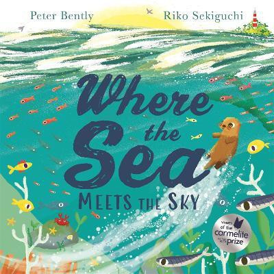 Where the Sea Meets the Sky(English, Paperback, Bently Peter)