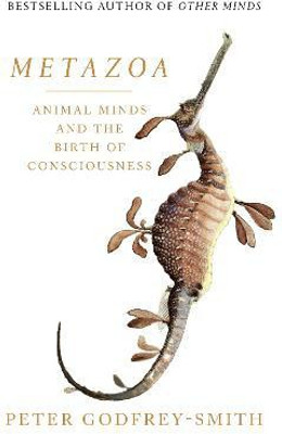 Metazoa(English, Paperback, Godfrey-Smith Peter)