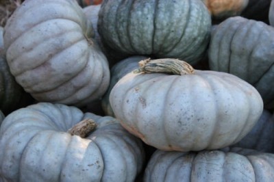 ErTh GREEN PUMPKIN Seed(1000 per packet)