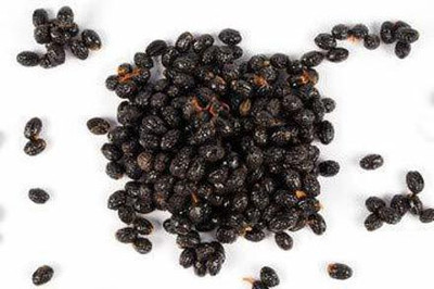 KANAYA Papita Seed(200 per packet)
