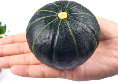 Farmonix Sweet Vegetable Golden Small Pumpkin Seed(150 per packet)