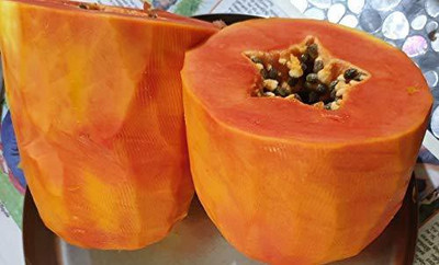 KANAYA Papita Seed(800 per packet)