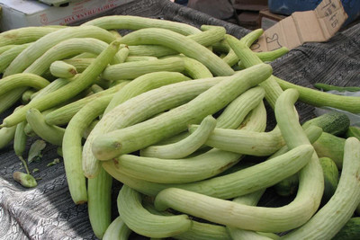 Decon Kakdi Seed(80 per packet)