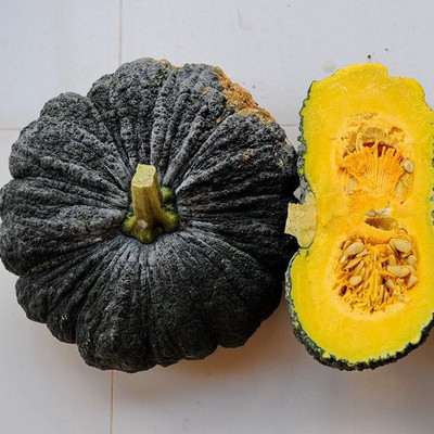 Farmonix Chinese Pumpkin Seed(300 per packet)
