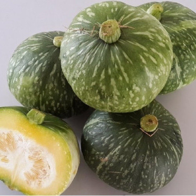Farmonix Chinese Pumpkin Seed(300 per packet)