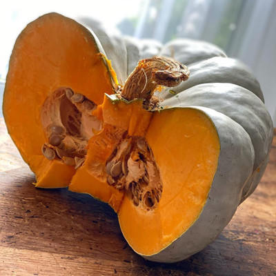 Farmonix Organic Big Size Pumpkins Seed(150 per packet)
