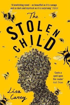 The Stolen Child(English, Paperback, Carey Lisa)