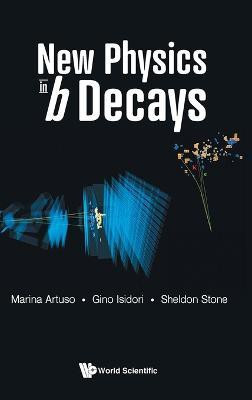 New Physics In B Decays(English, Hardcover, Stone Sheldon)