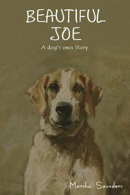 Beautiful Joe(English, Paperback, Saunders Marshall)