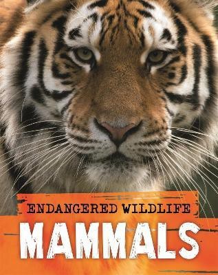 Endangered Wildlife: Rescuing Mammals(English, Paperback, Ganeri Anita)