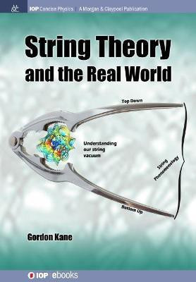 String Theory and the Real World(English, Paperback, Kane Gordon)