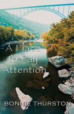 A Place to Pay Attention(English, Paperback, Thurston Bonnie)