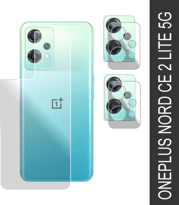 Polenta Back Screen Guard for OnePlus Nord CE 2 LITE 5G(Pack of 2)