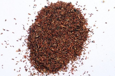 Ravel Eucalyptus Hybrid Seed / Safeda Seed -25 GM Seed(25 g)