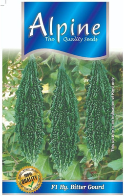 ALPINE HYBRIDE SEEDS BITTER GOURD Seed(70 per packet)
