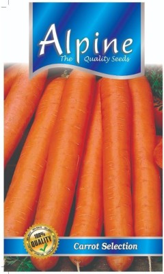 ALPINE HYBRIDE SEEDS CARROT SEEDS Seed(70 per packet)